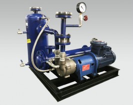 2BVA系列水環式真空泵